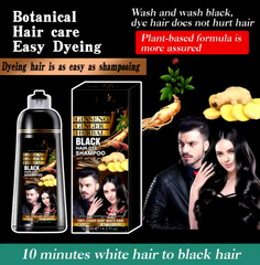 Instant Hair Dye Shampoo (420ml)