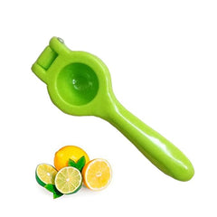 Manual Fruit Press